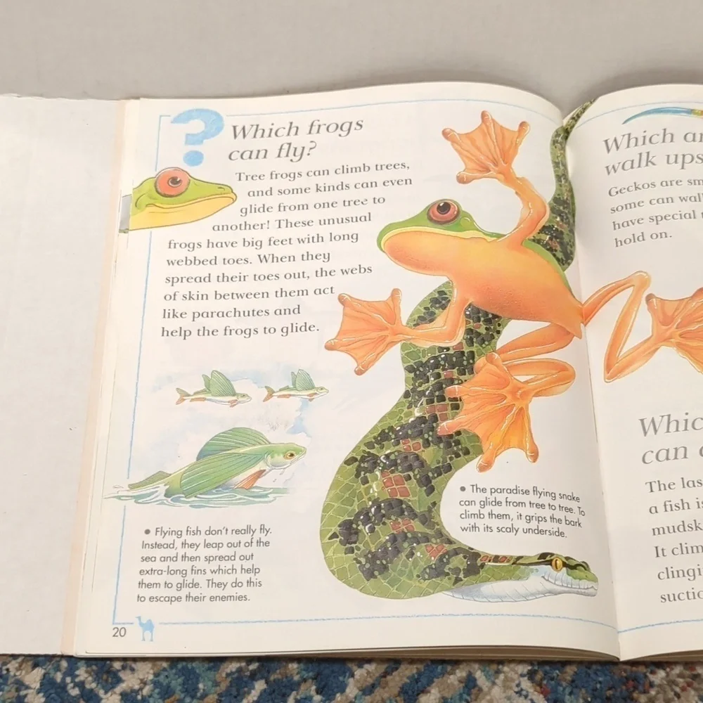 I Wonder Why Paperback Book Set of 3 Books Non Fiction - Used